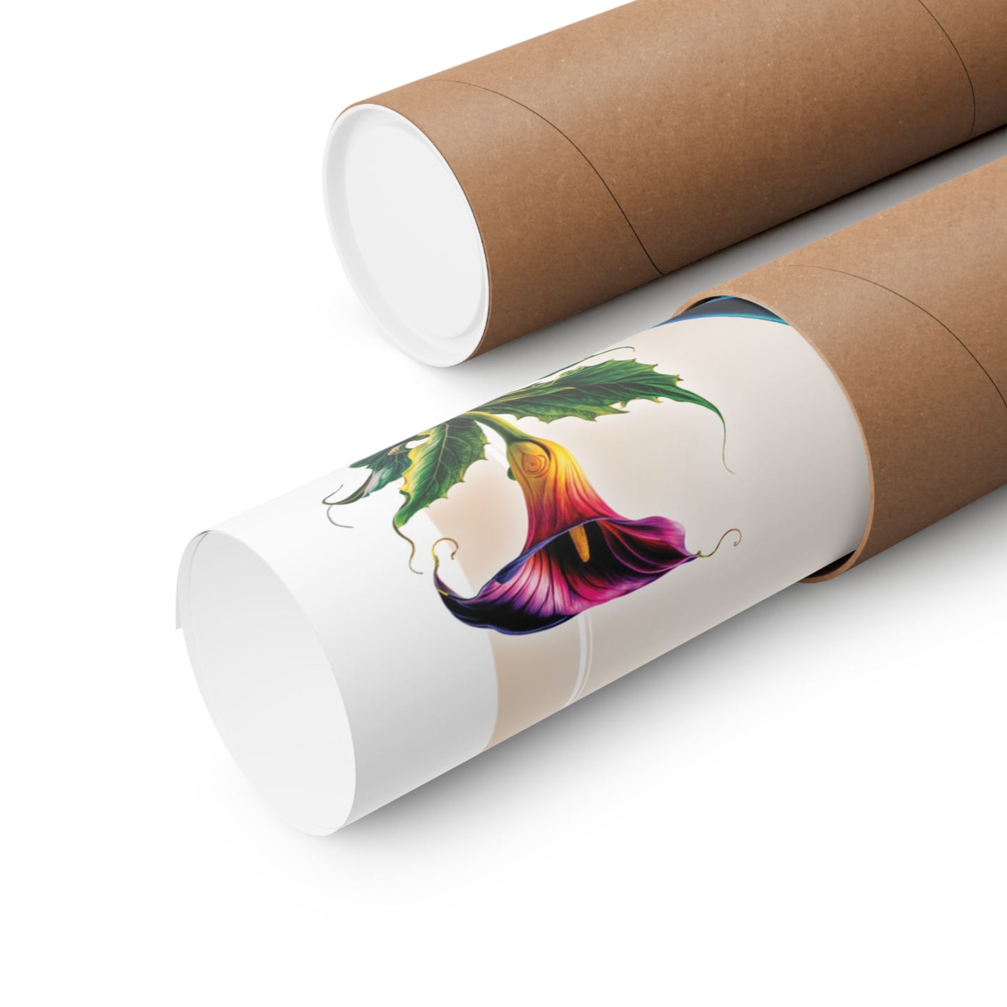 Rolled poster in a tube on a white background