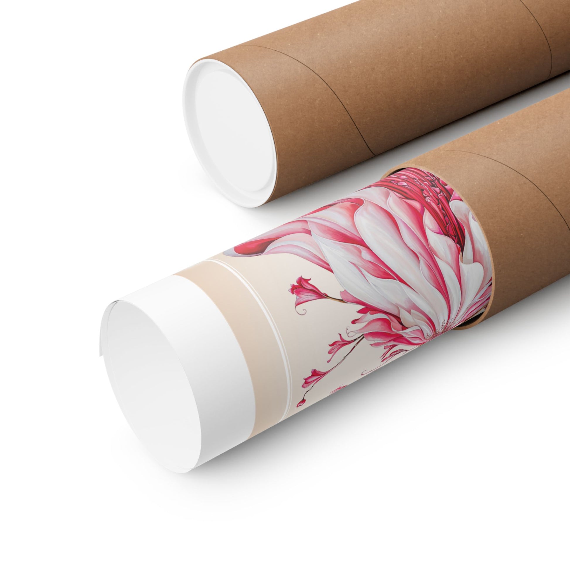 Rolled poster in a tube on a white background