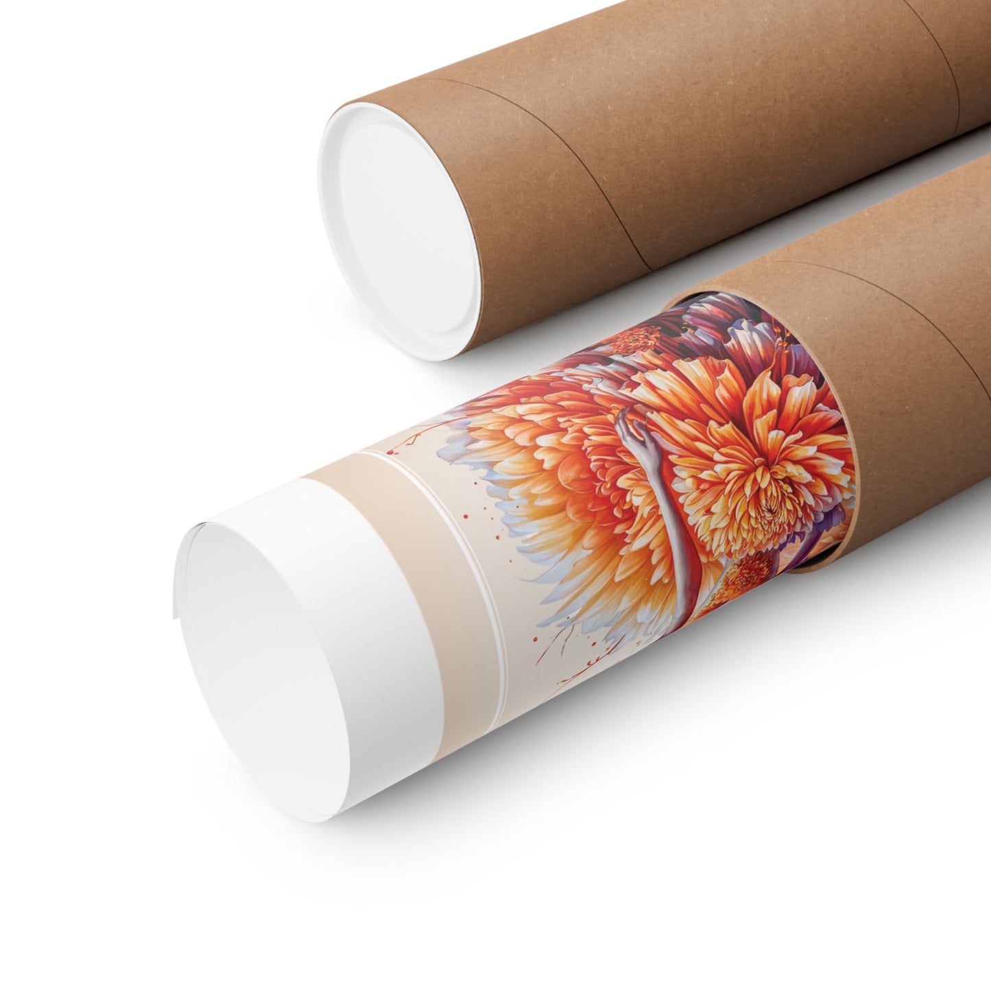 Rolled poster in a tube on a white background.